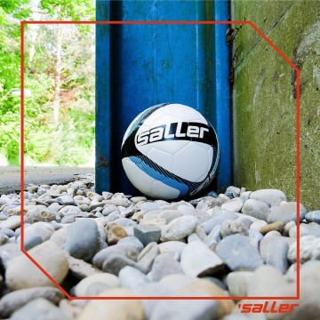 1615 saller bal inspire training